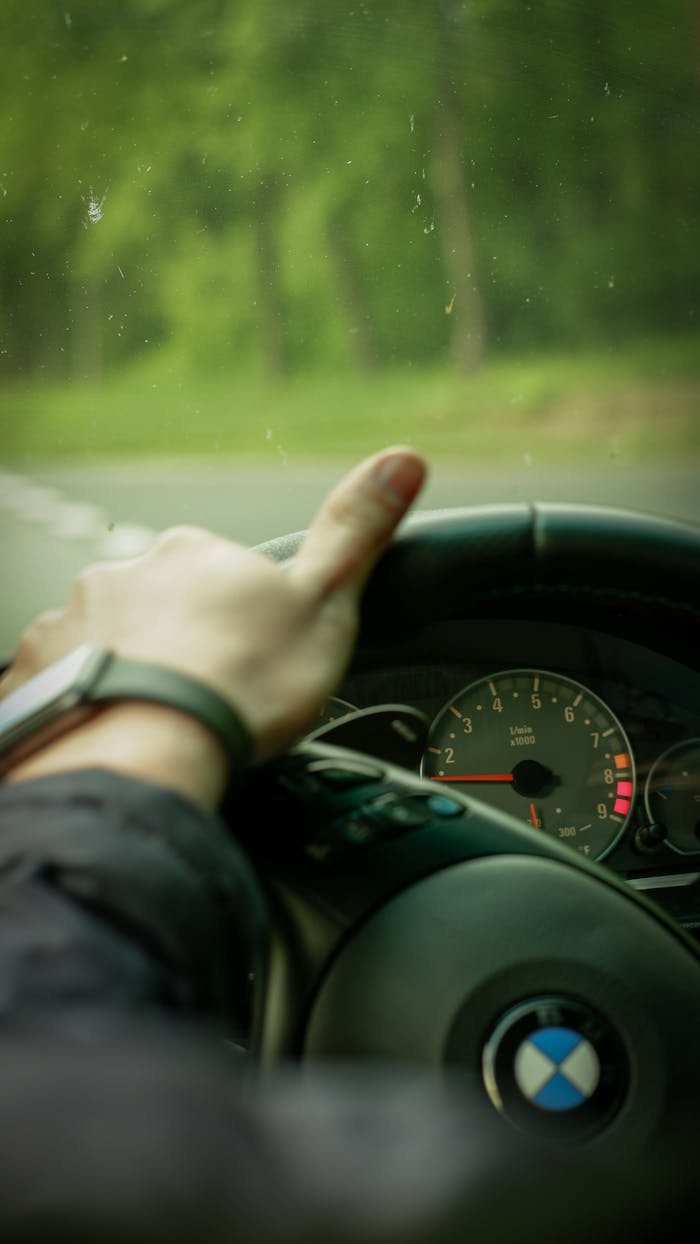 Close-up of a hand on a BMW steering wheel with a view of the speedometer and blurred green scenery outside, depicting the essence of driving.